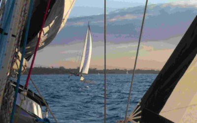 INFO RÊVES-SUR-MER 2026 2ème semaine
